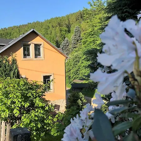 Fuchsbau Apartman Königstein an der Elbe