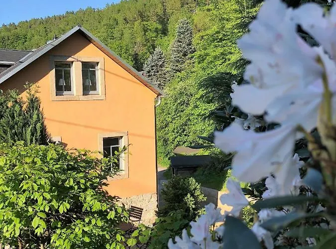 Fuchsbau Apartman Königstein an der Elbe